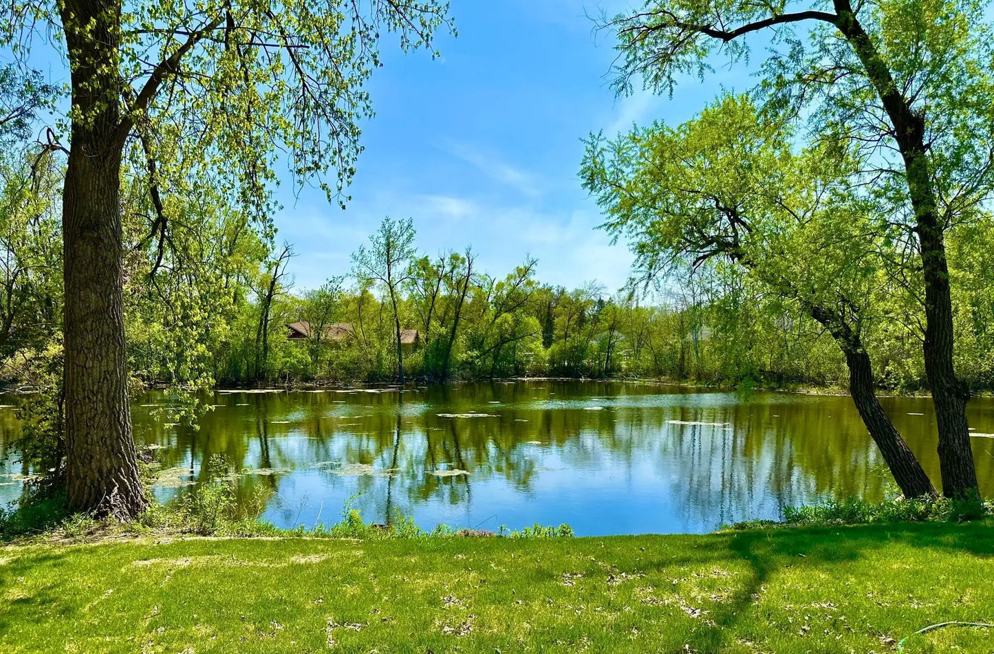 192 Transit Avenue, Roseville, MN 55113