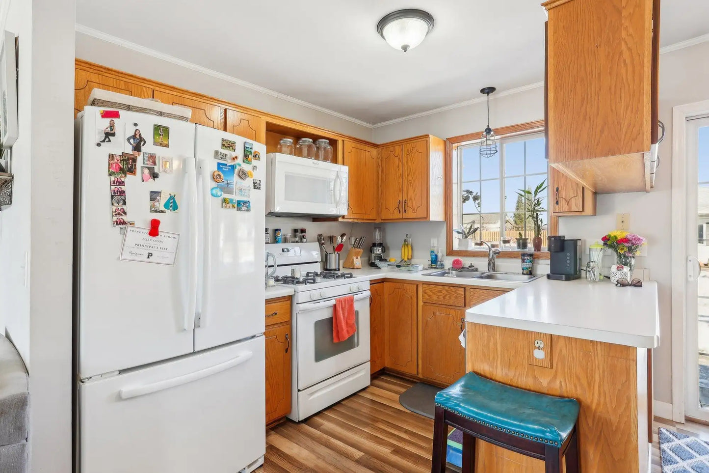 1102 17th Street, Princeton, MN 55371