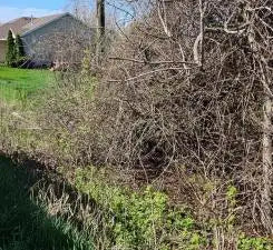 XXX Newton Ave SE , Watertown, MN 55388