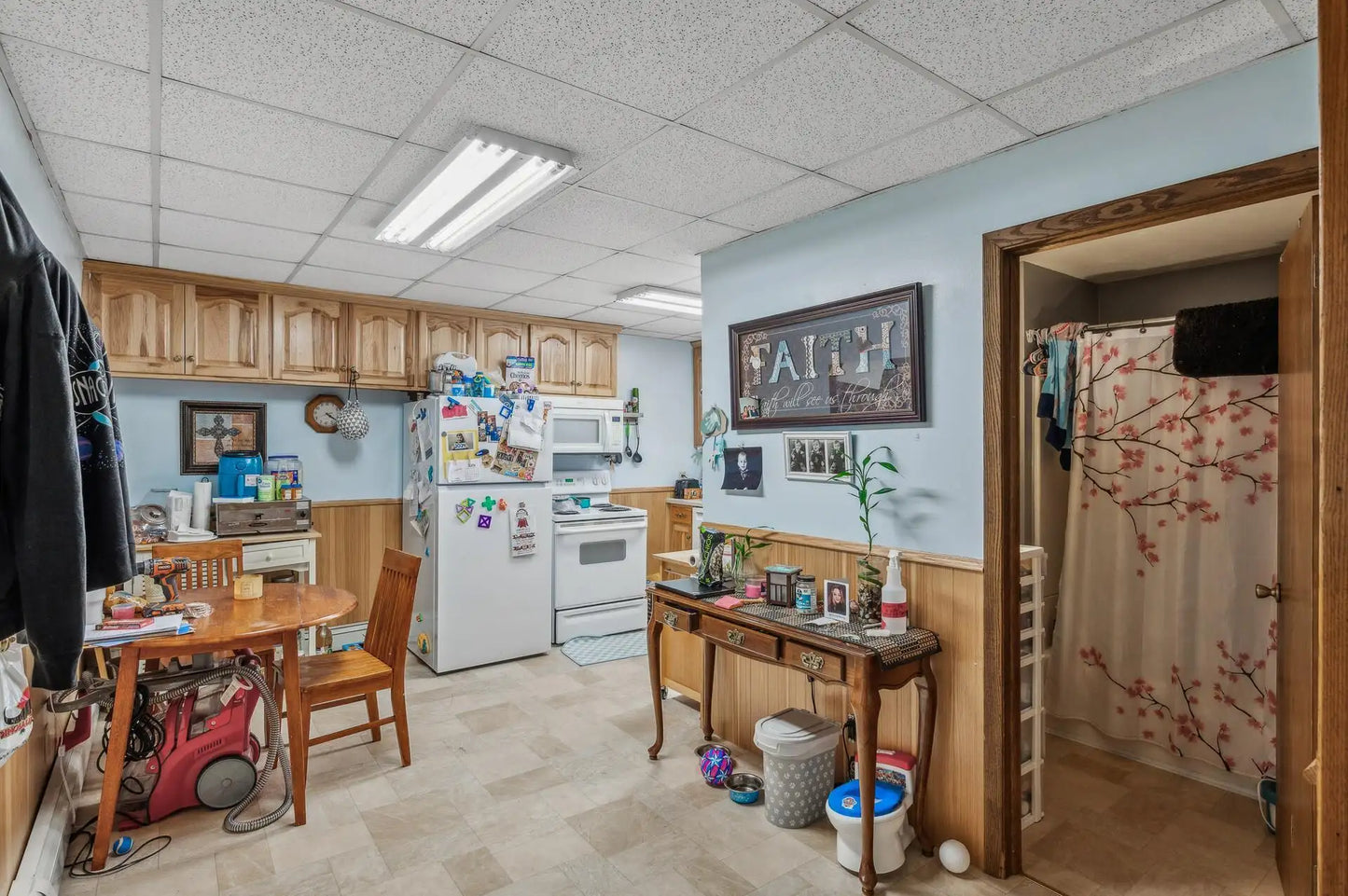 58 Birch Avenue, Maple Lake, MN 55358