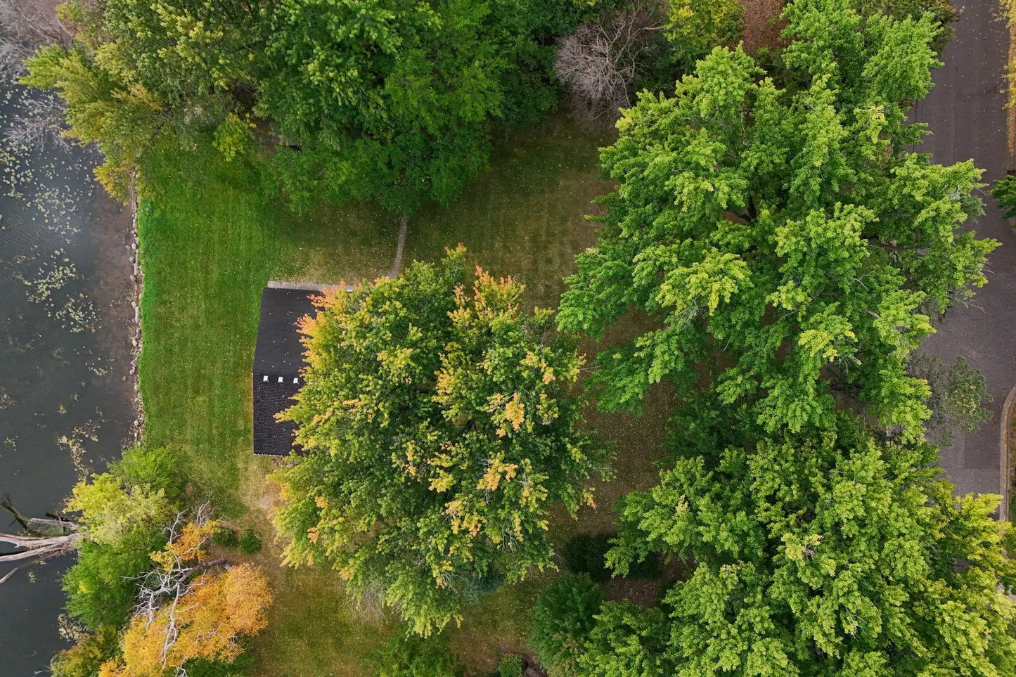 503 Gentry Avenue, Oakdale, MN 55128