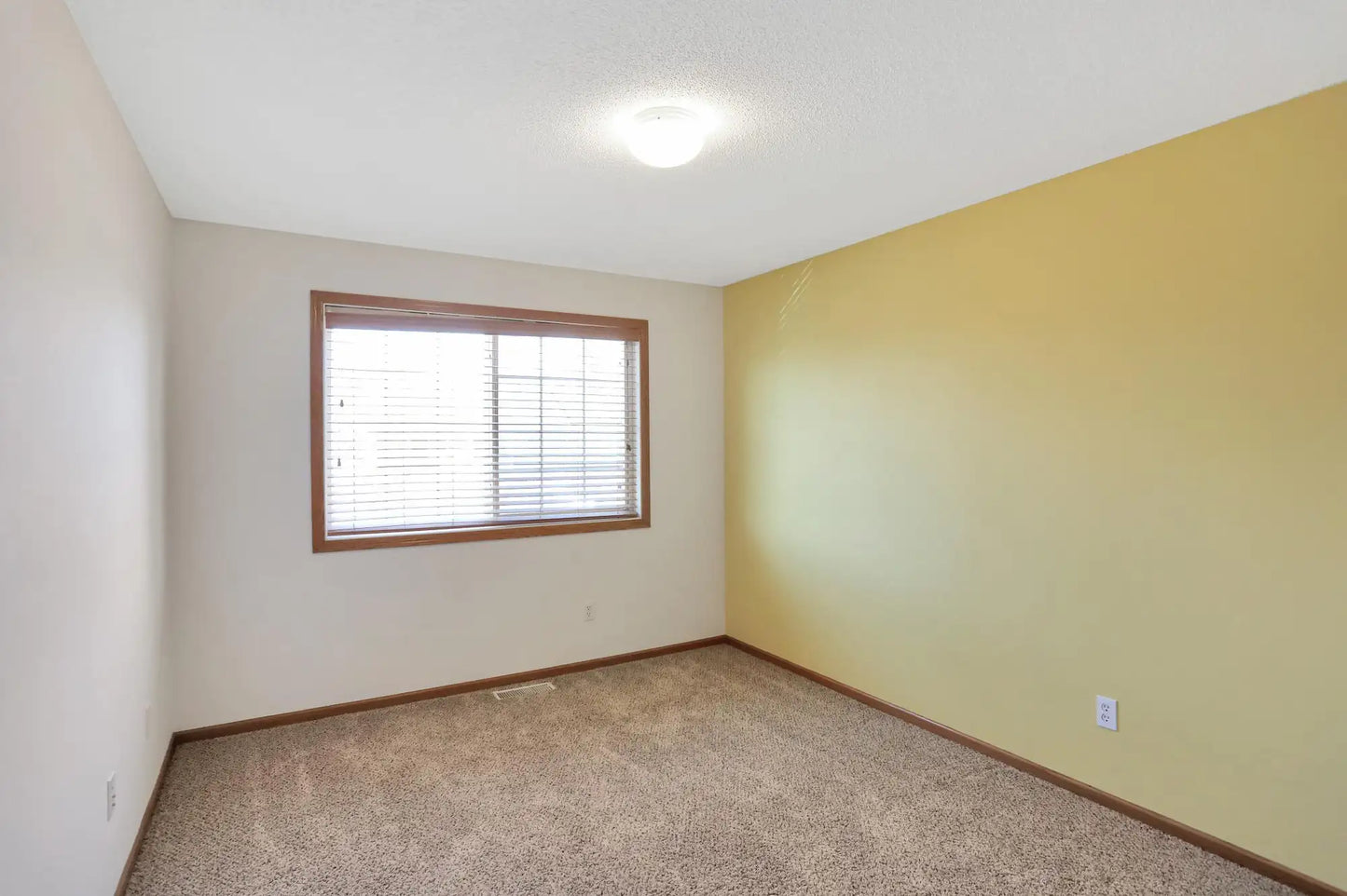 15954 71st Street, Otsego, MN 55330