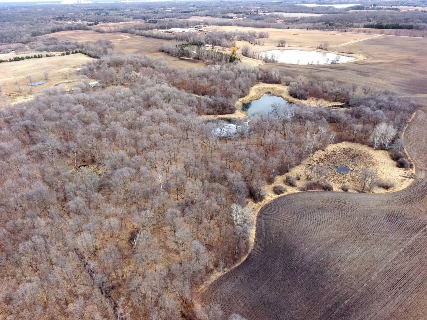 XXX 95th St NW Lot 1 , Maple Lake, MN 55358
