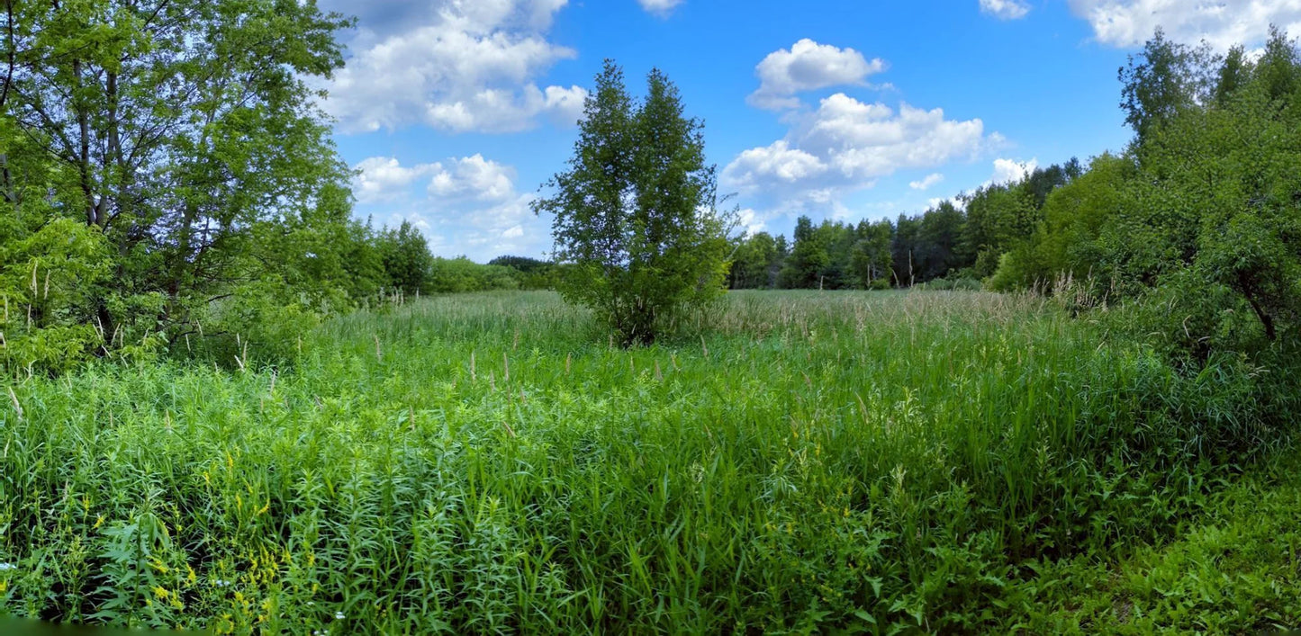 9414 Us-12 , Independence, MN 55328