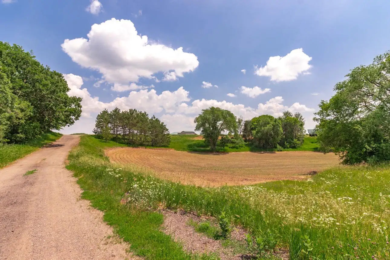 XXX Orwell Road, May Twp, MN 55047