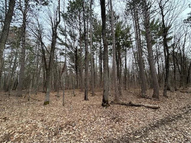 XXX Oak Point Road, Cass Lake, MN 56633