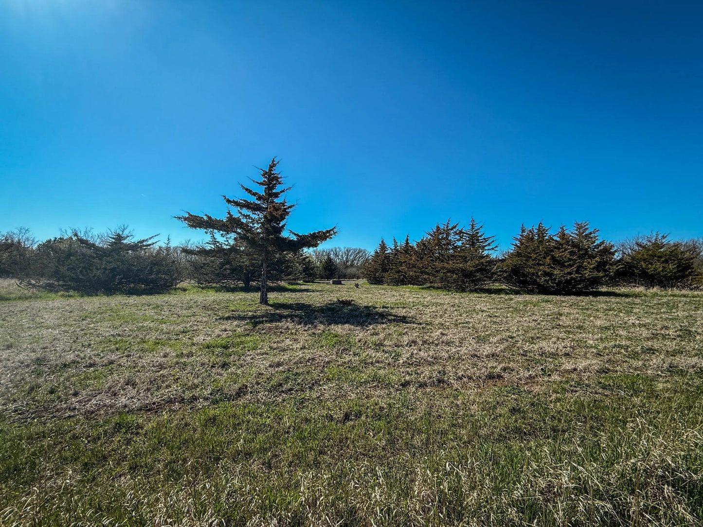xxx County 14 Boulevard, Cannon Falls, MN 55009