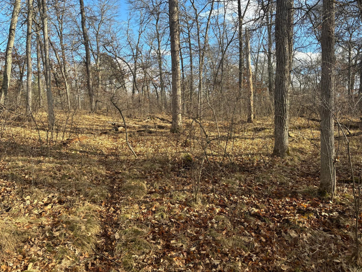 12612 County Rd 103 Road, Crosslake, MN 56442
