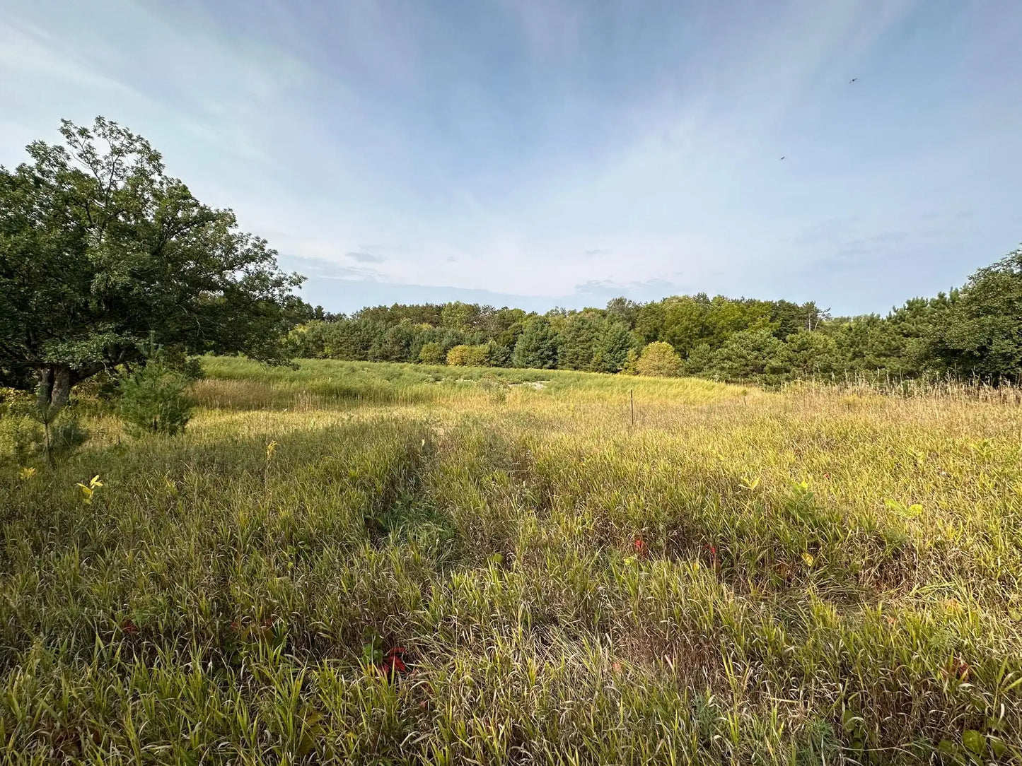 15XXX Oakhill Road, Scandia, MN 55073