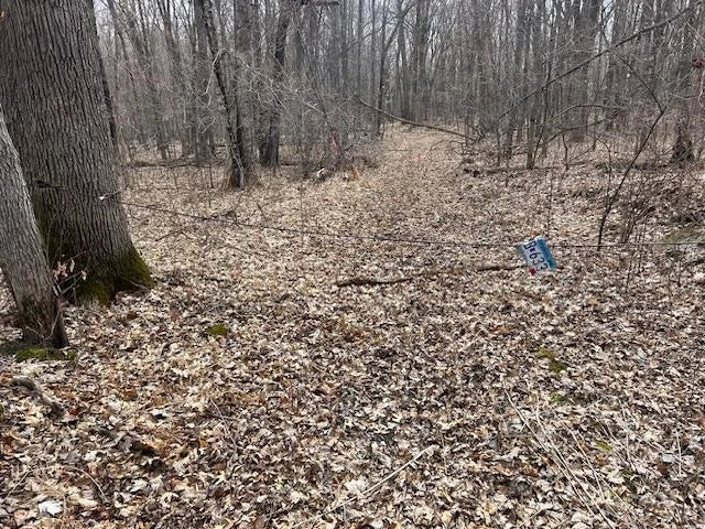 XXX Oak Point Road, Cass Lake, MN 56633