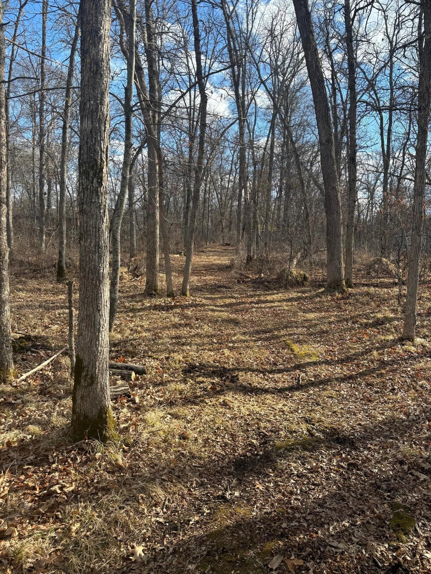 12612 County Rd 103 Road, Crosslake, MN 56442