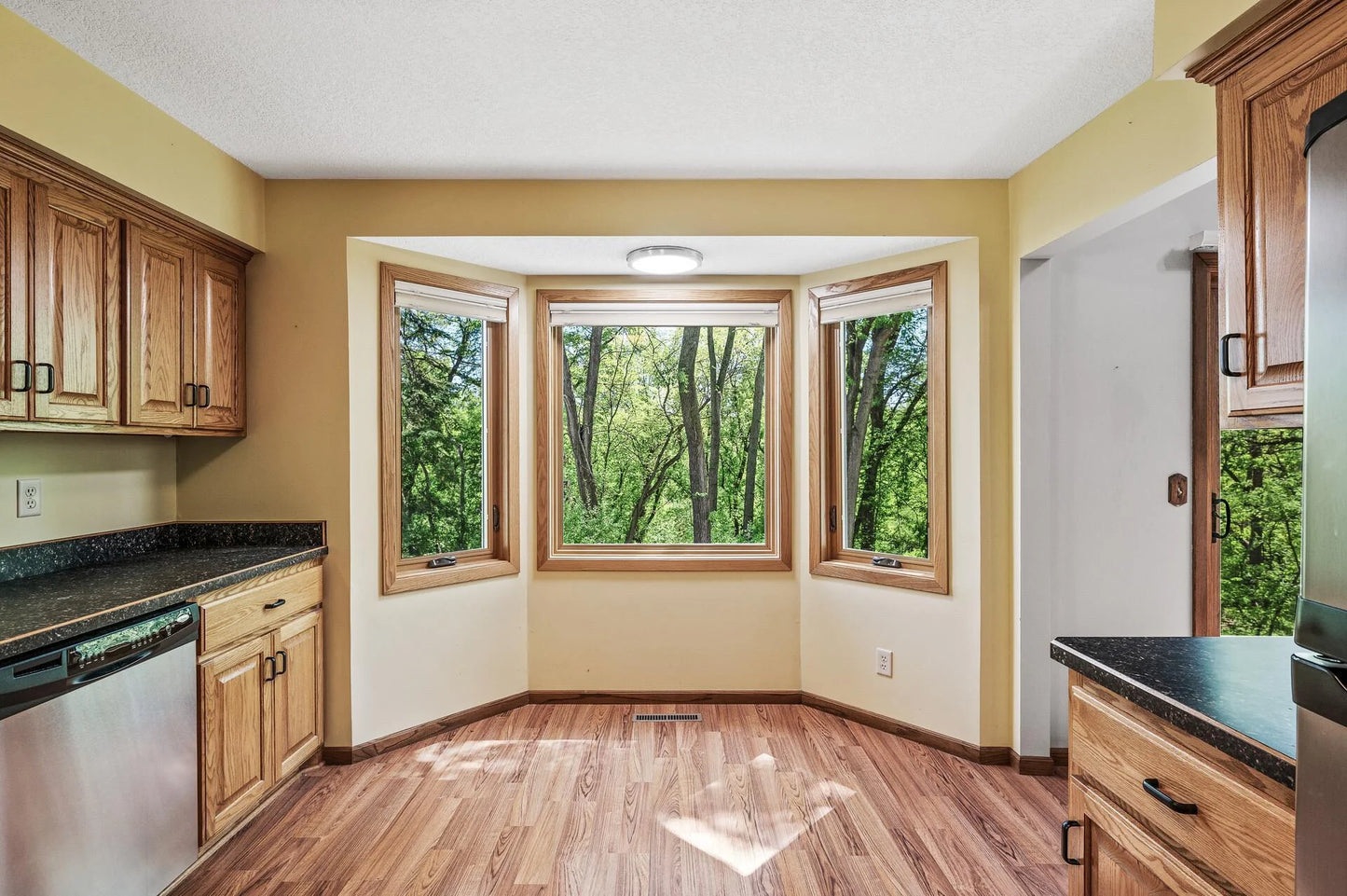13838 Glendale Trail, Savage, MN 55378