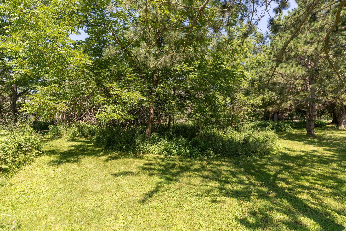 1031 Greenbriar Road, Rochester, MN 55902