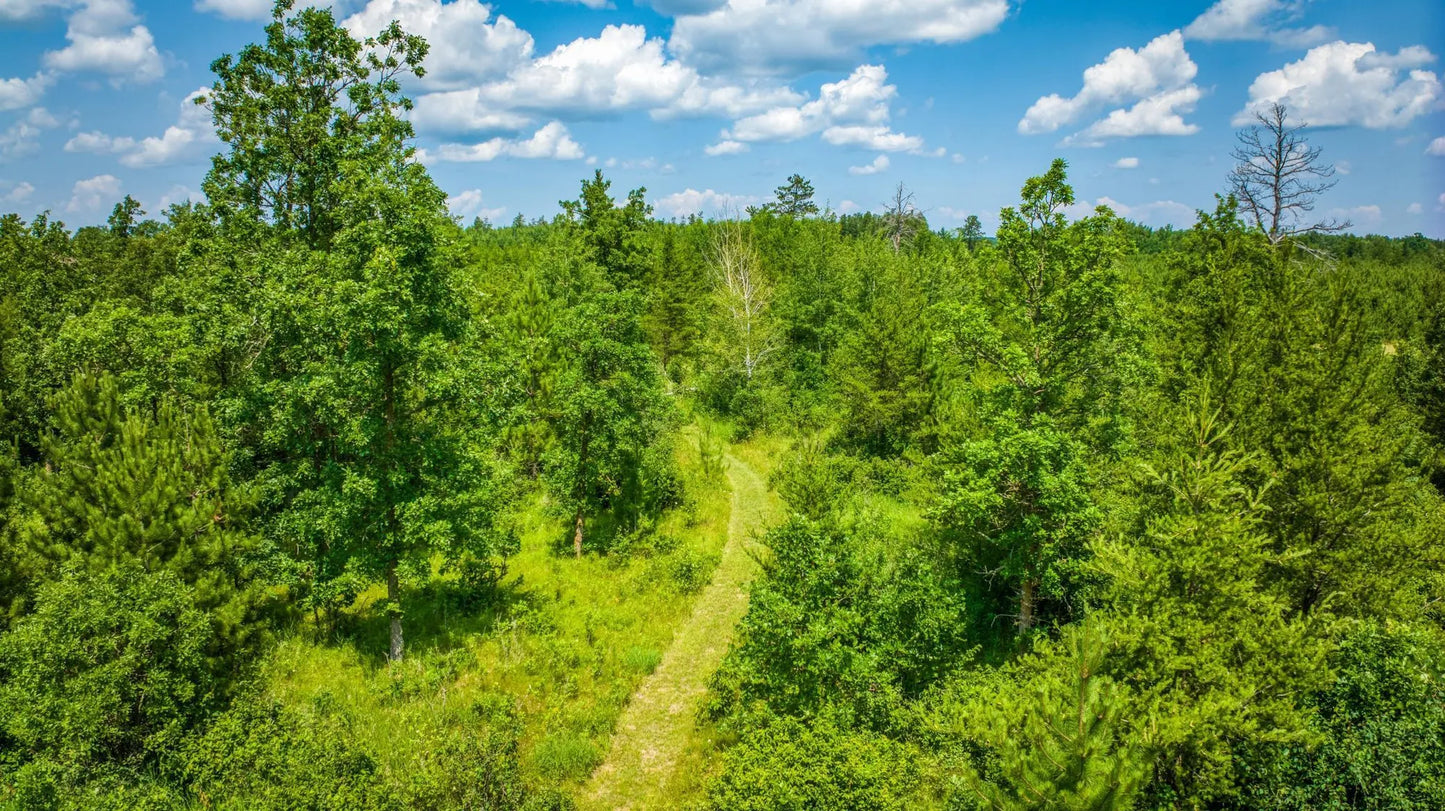 TBD Cardinal Road, Bemidji, MN 56601