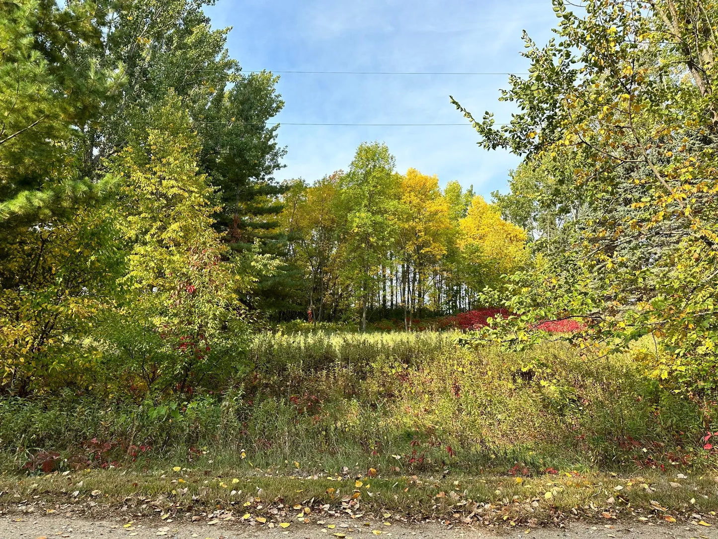 TBD Wild Rose Trail , Frazee, MN 56544