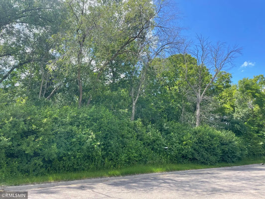 xxx Main Street, Saint Paul Park, MN 55071
