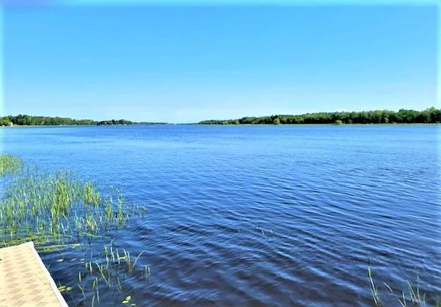 Lot 12 - TBD Driftwood Lane, Baudette, MN 56623