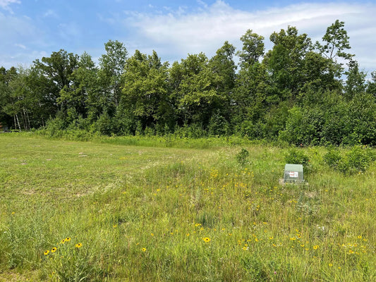 Lot 6 Tango Drive, Helga Twp, MN 56601