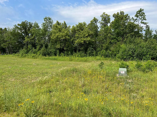 Lot 6 Tango Drive, Helga Twp, MN 56601