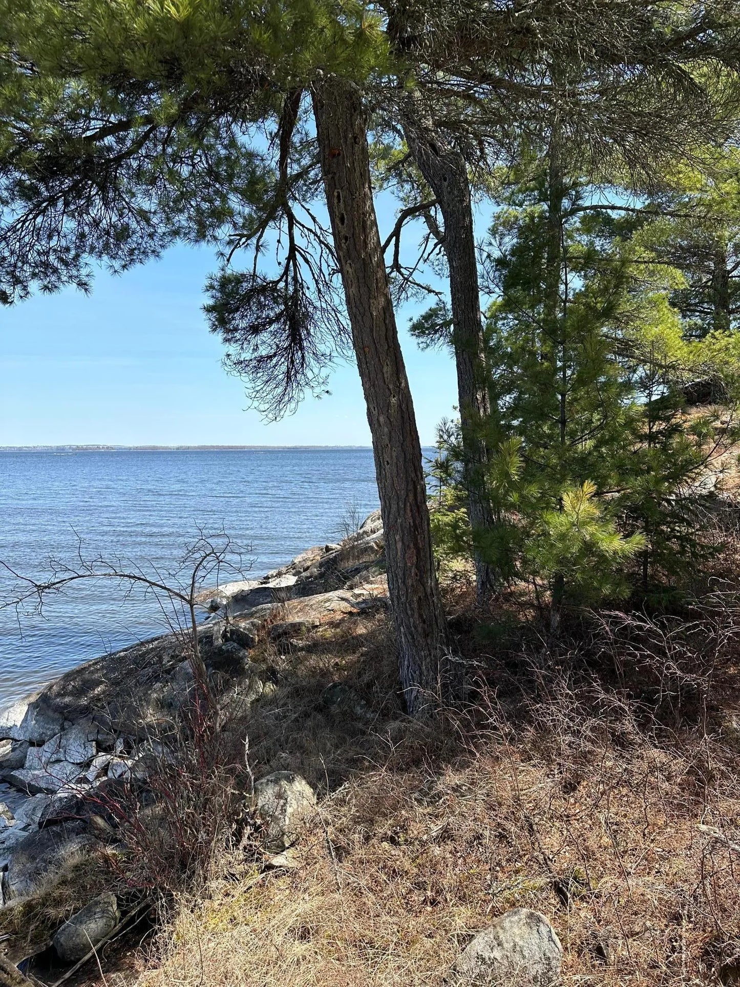 TBD Kabetogama Lake , Kabetogama Twp, MN 56669