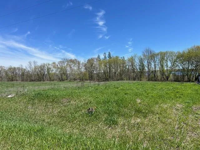 Lot 14 Alum Trail , Birchdale Twp, MN 56336