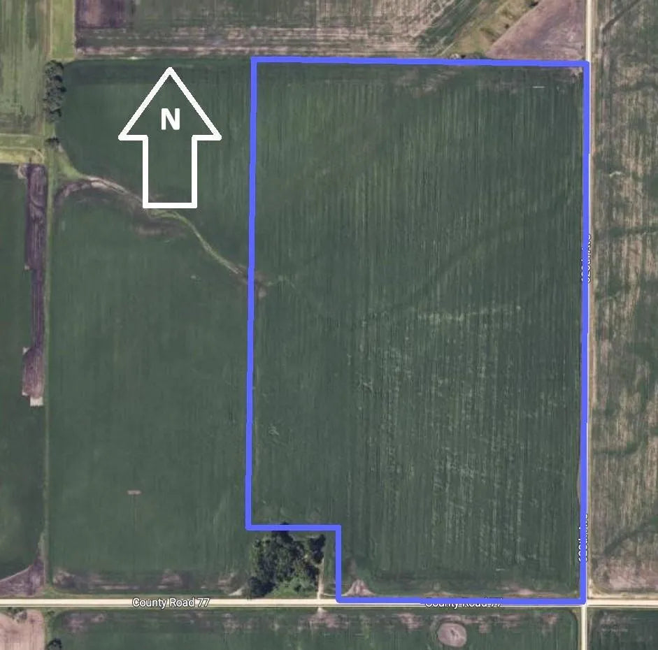 TBD 110th Street, Eldorado Twp, MN 56248