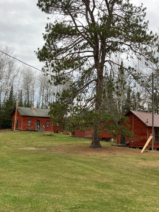 7036 Gold Mine Road, Orr, MN 55771