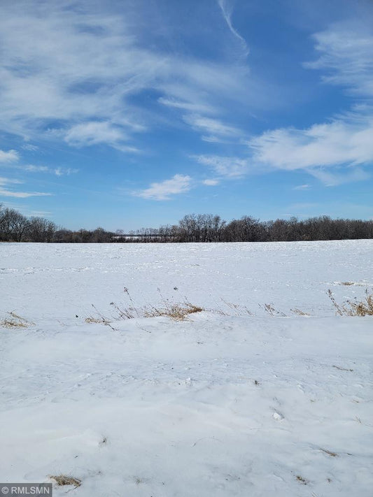 XXX County Rd 82 , Wykeham Twp, MN 56446