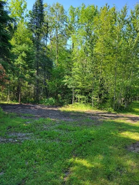 Lot 7 - TBD Driftwood Lane, Baudette, MN 56623