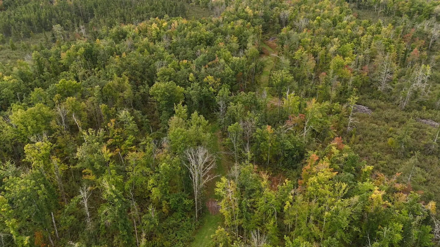 TBD Rainbow Trout Trail , Sandstone, MN 55072