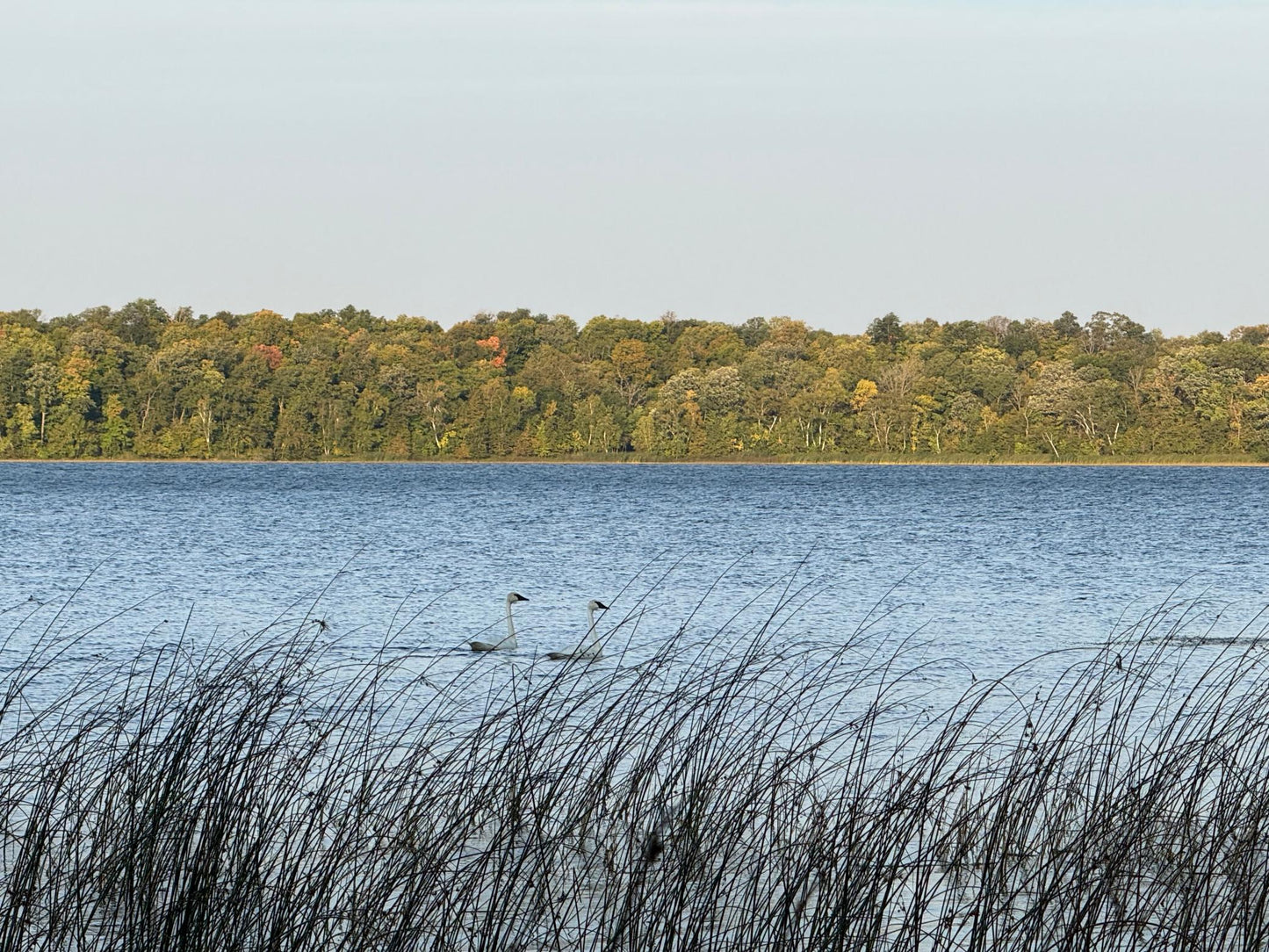 (LOT B) TBD Rock Lake Road, Rochert, MN 56578