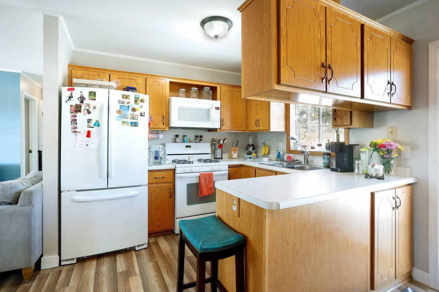 1102 17th Street, Princeton, MN 55371