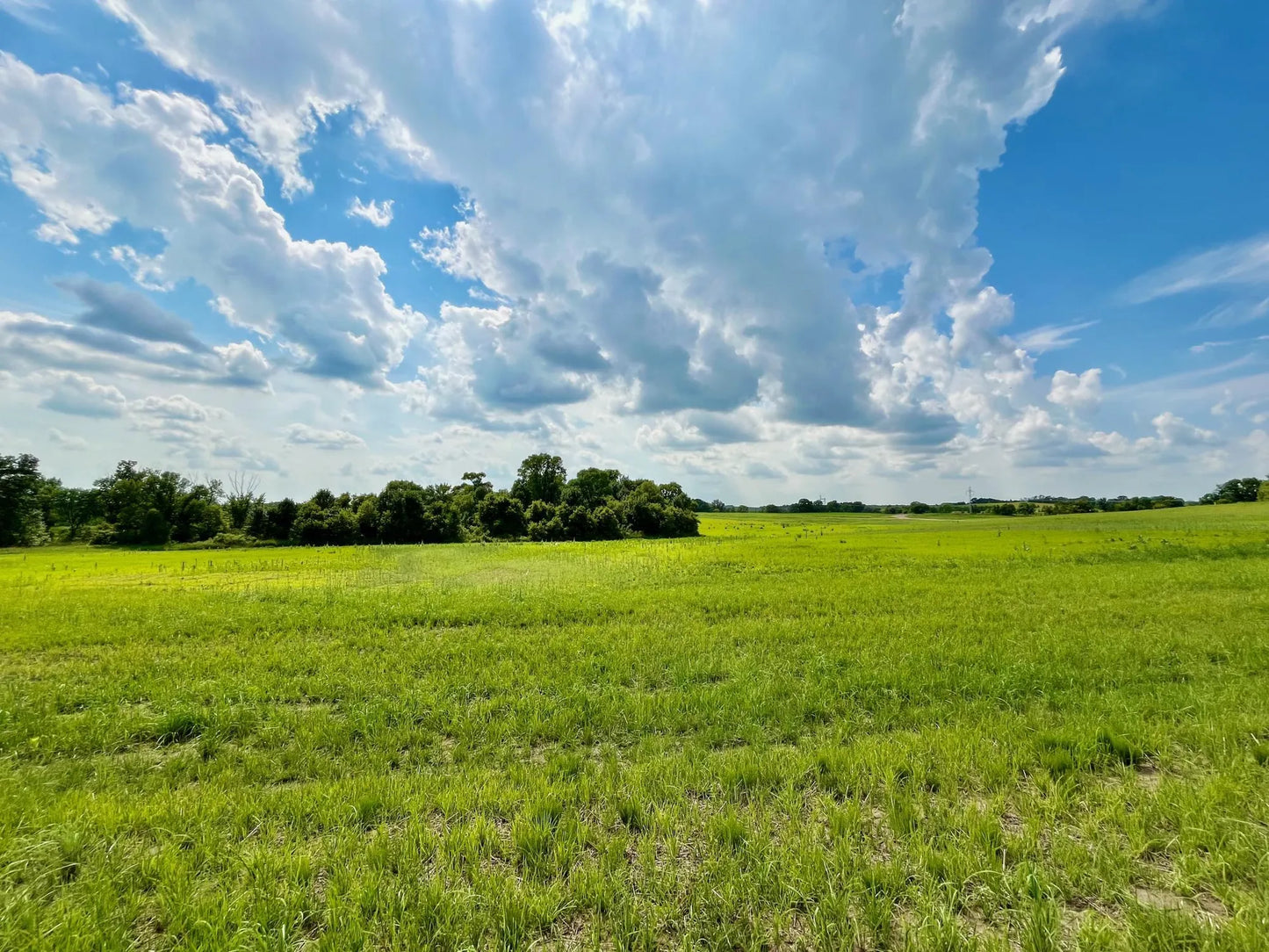 Lot 19 Block 2 River View Trail, Pelican Rapids, MN 56572