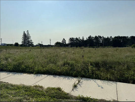 19003-Lot Ulysses Street, Elk River, MN 55330