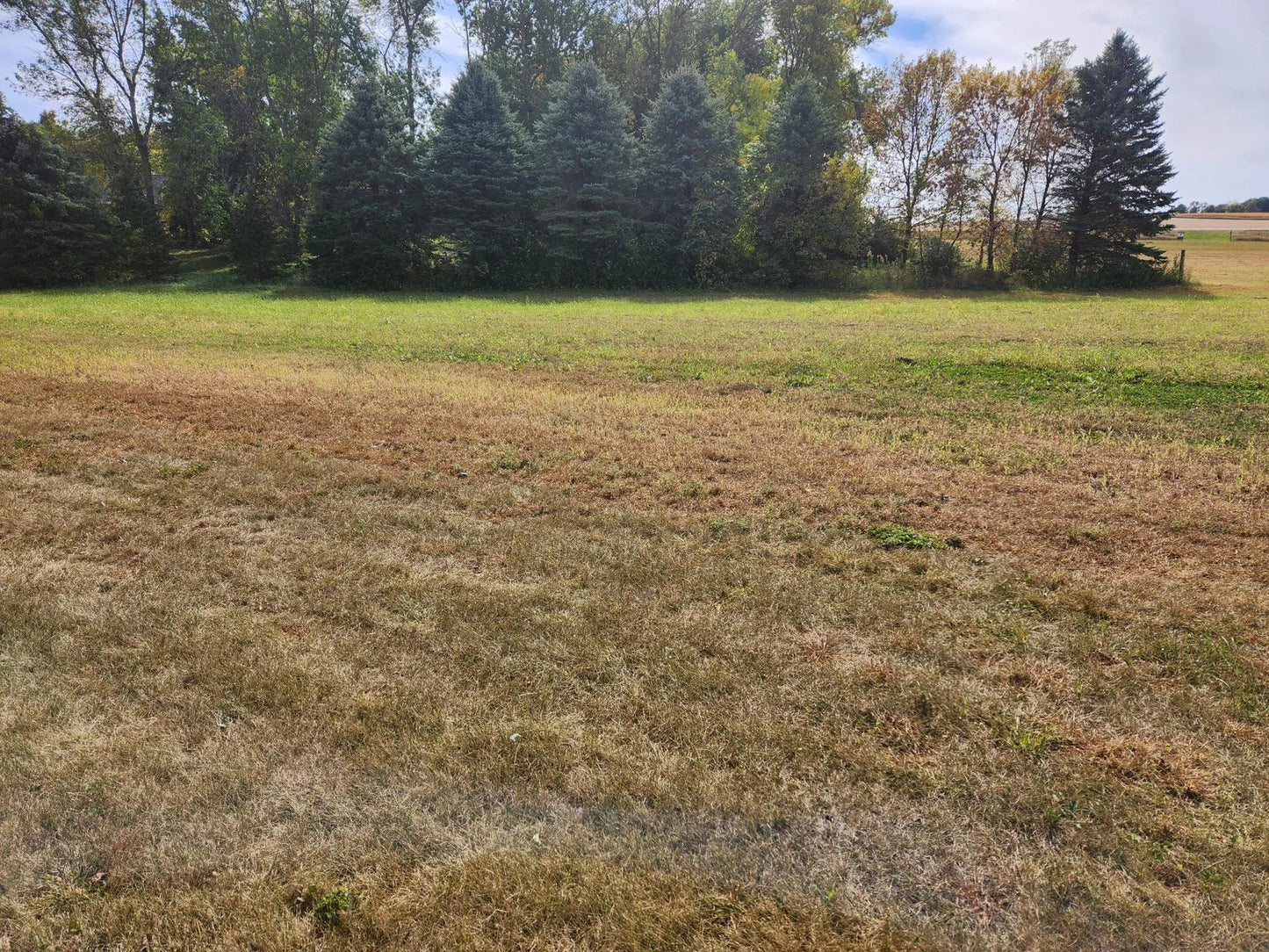 Lot 1 Edgewater Road , Garden City Twp, MN 56055