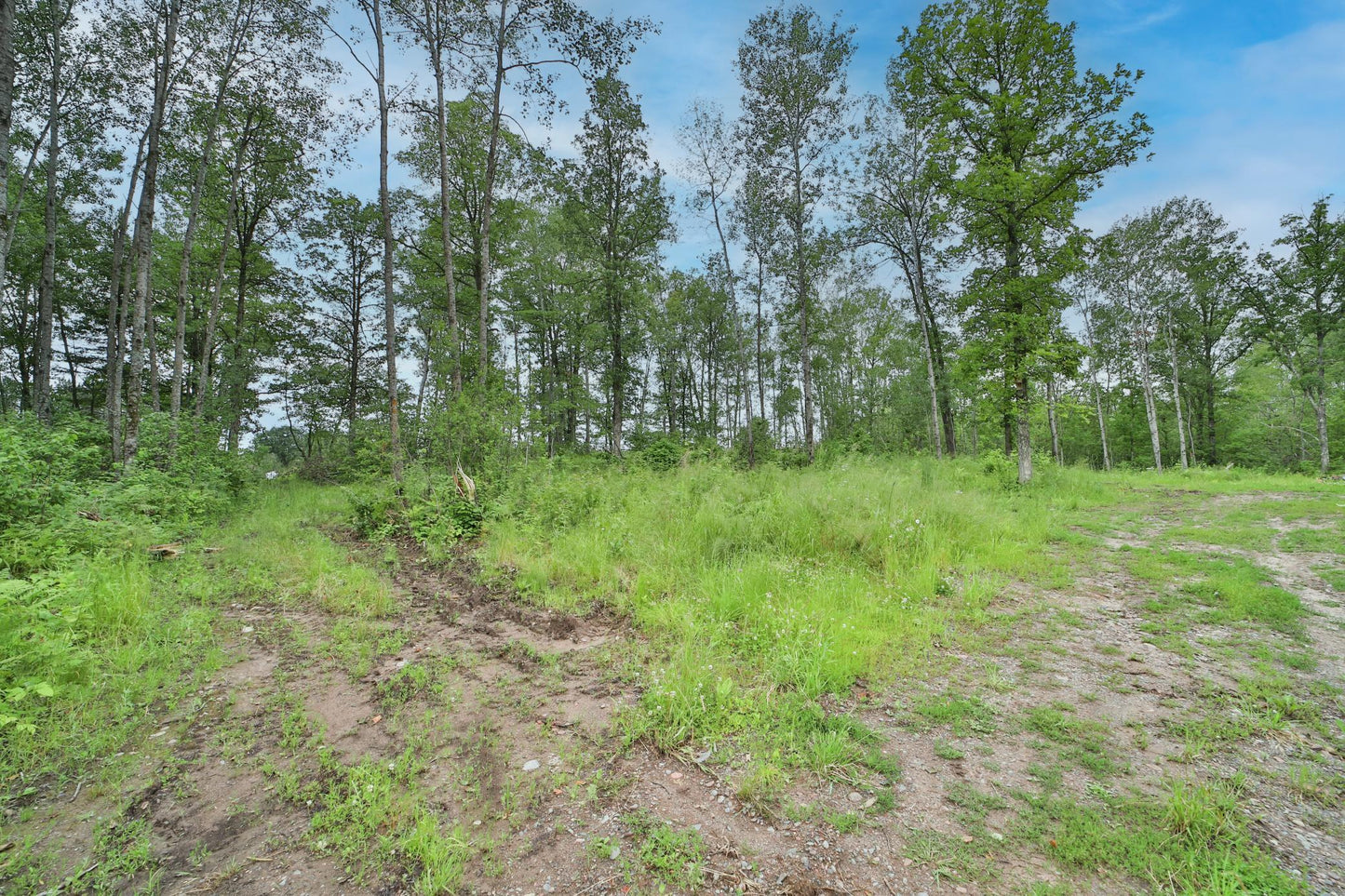 XXX Kestrel Avenue, Tamarack, MN 55787