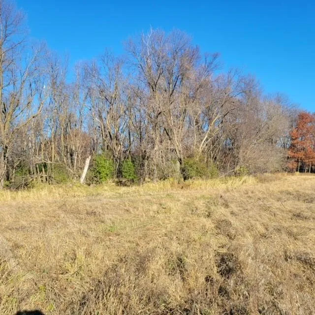 Lot 4 575th , Greenleaf Twp, MN 55355