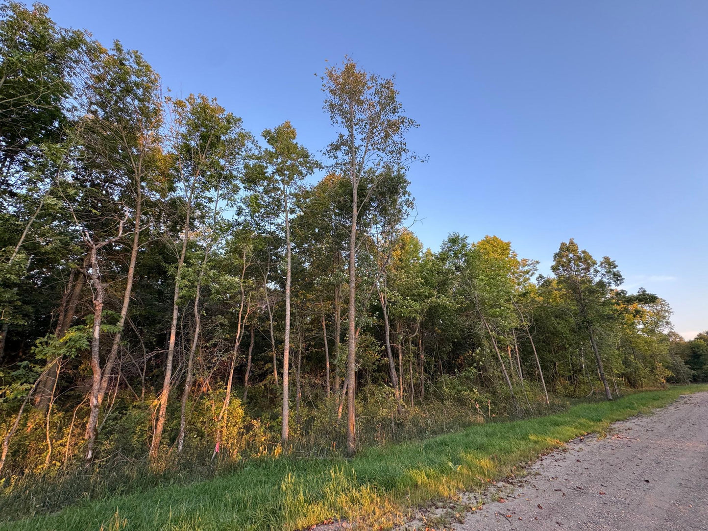 (LOT C) TBD Rock Lake Road, Rochert, MN 56578