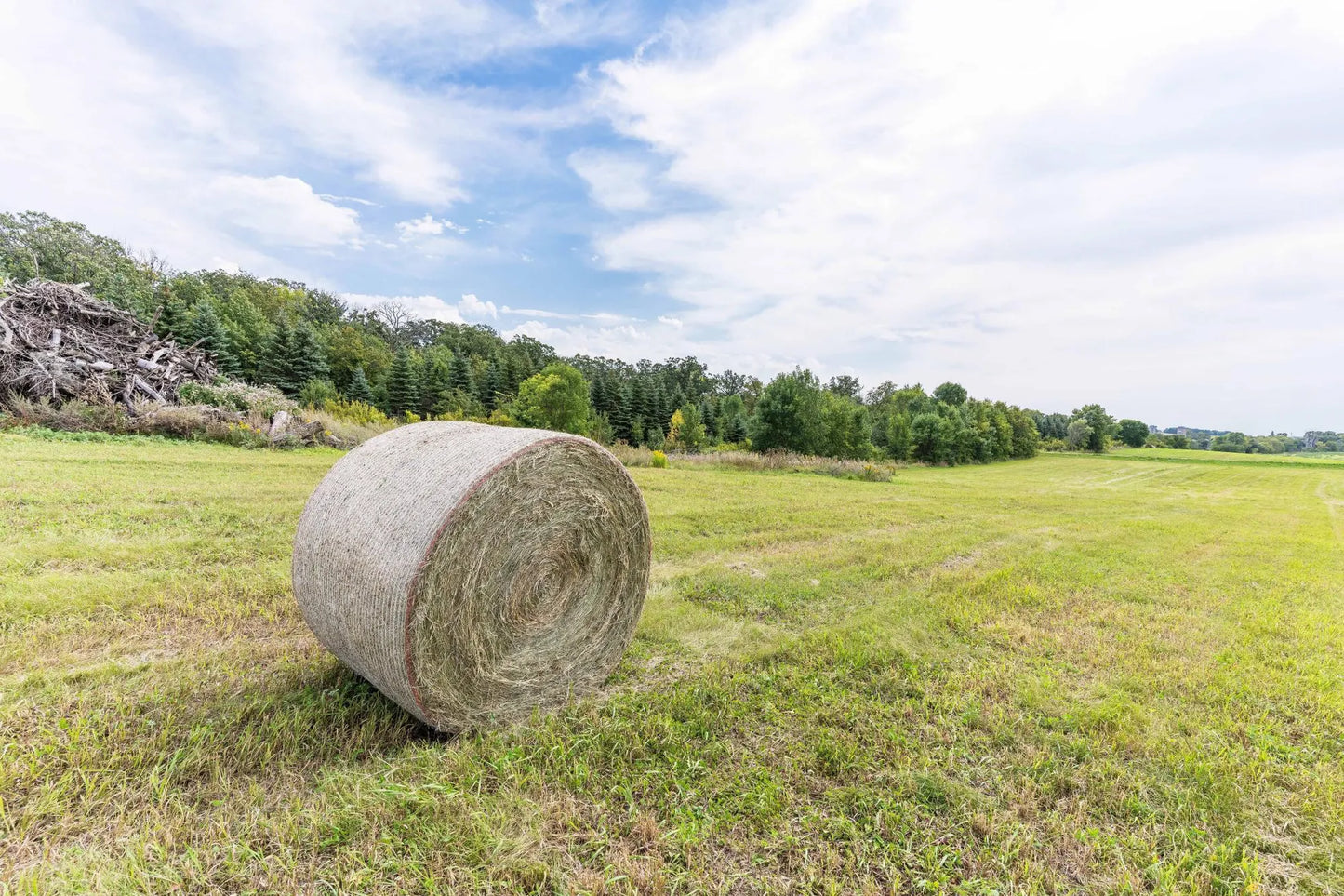 Lot D 202nd Avenue, Fergus Falls, MN 56537