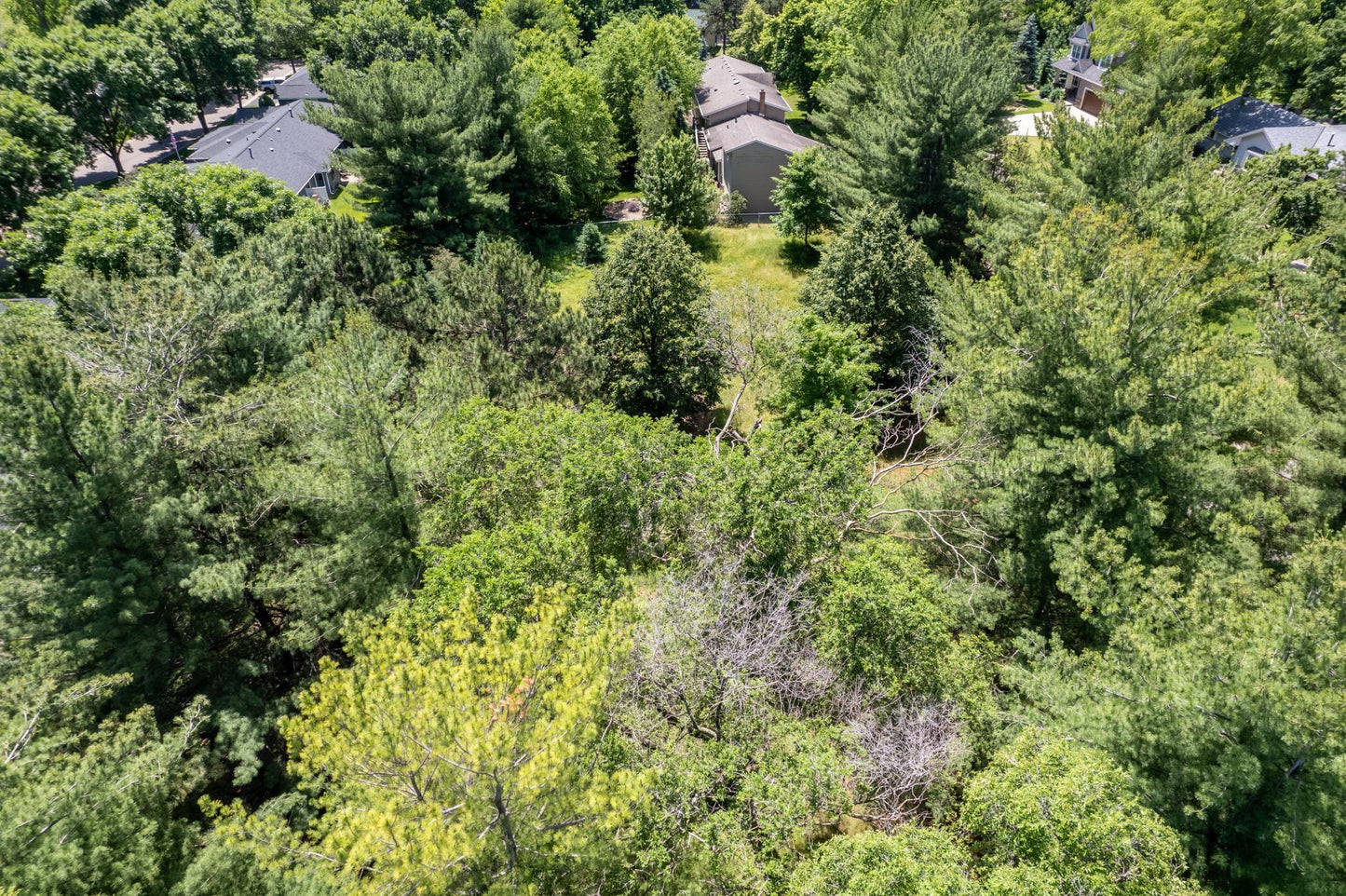 xxx Buffalo Lane, Shoreview, MN 55126