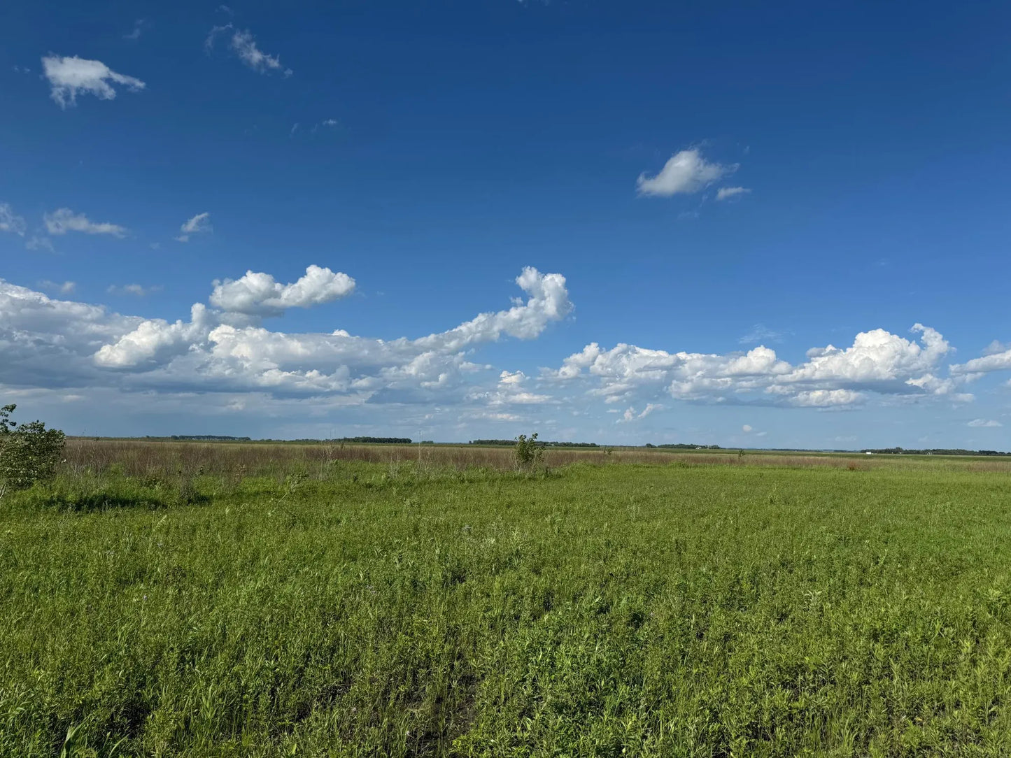 TBD County Road 26 , Manston Twp, MN 56579