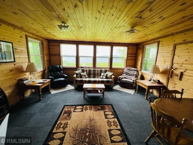 10101 Douglas Drive, Deer River, MN 56636