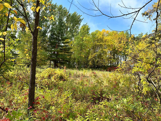 TBD Wild Rose Trail , Frazee, MN 56544