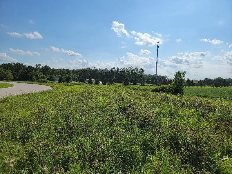 Lot 3, Bk1 3rd Avenue, Harmony, MN 55939