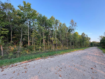 (LOT A) TBD Rock Lake Road, Rochert, MN 56578