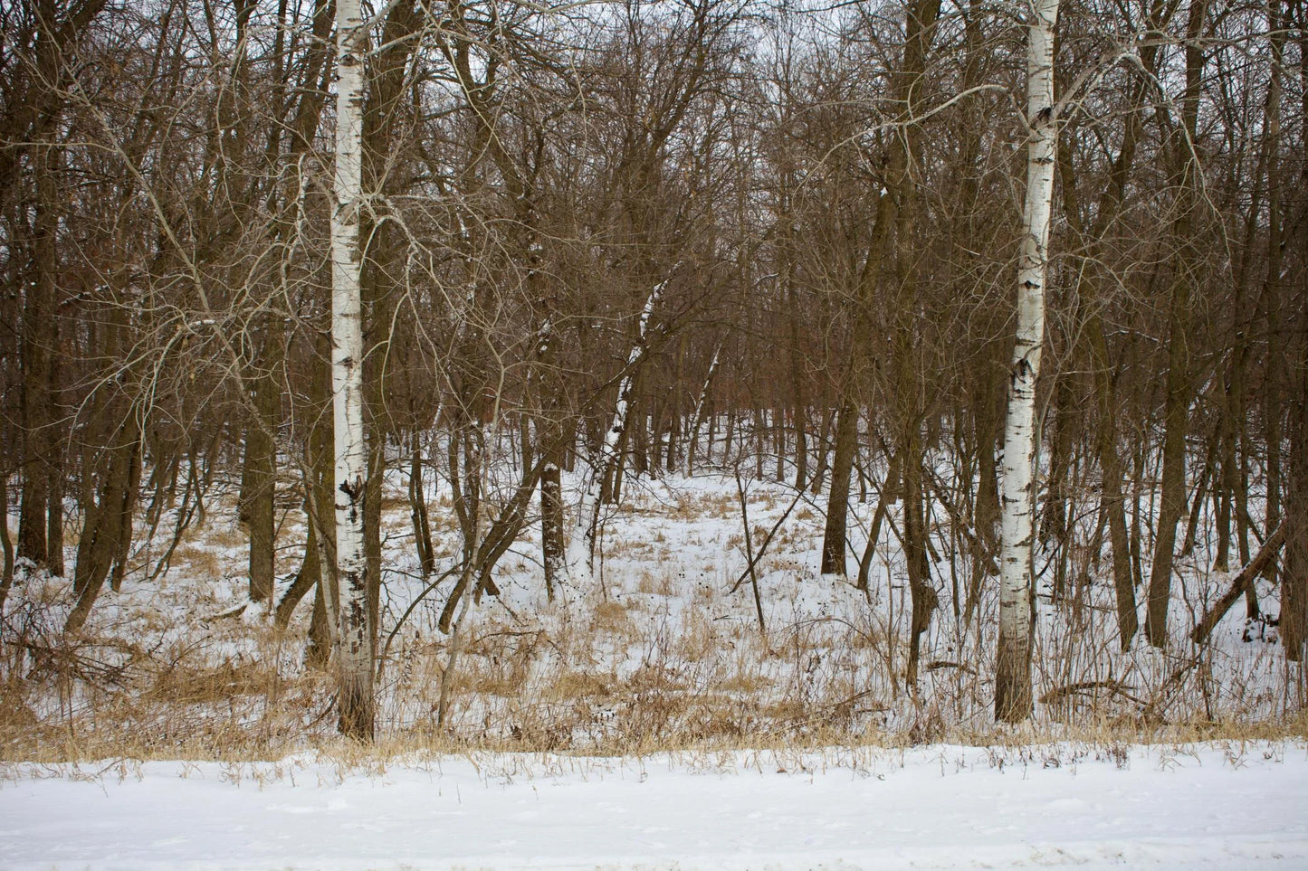 16XXX 4th Avenue, South Haven, MN 55382