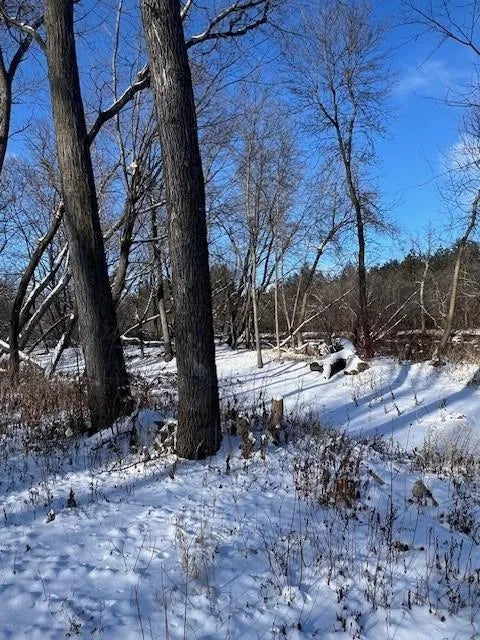 2007 TBD 2 River Lots , Waite Park, MN 56387