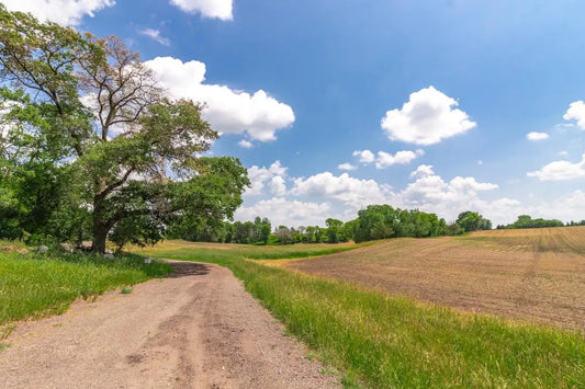 XXX Orwell Road, May Twp, MN 55047