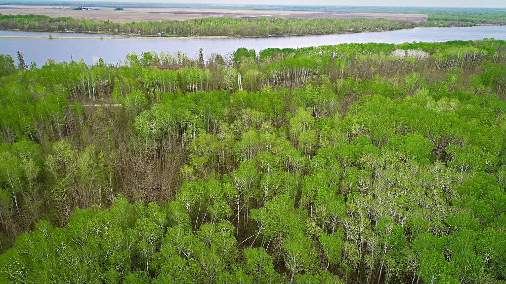 Lot 7 - TBD Driftwood Lane, Baudette, MN 56623