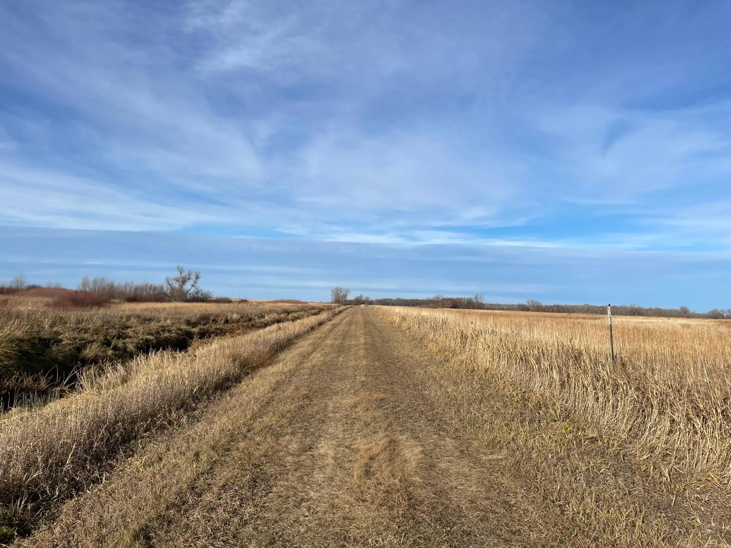 TBD HWY 10 , Bray Twp, MN 56701